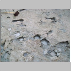 100_0626 (2009-27-07)m.JPG